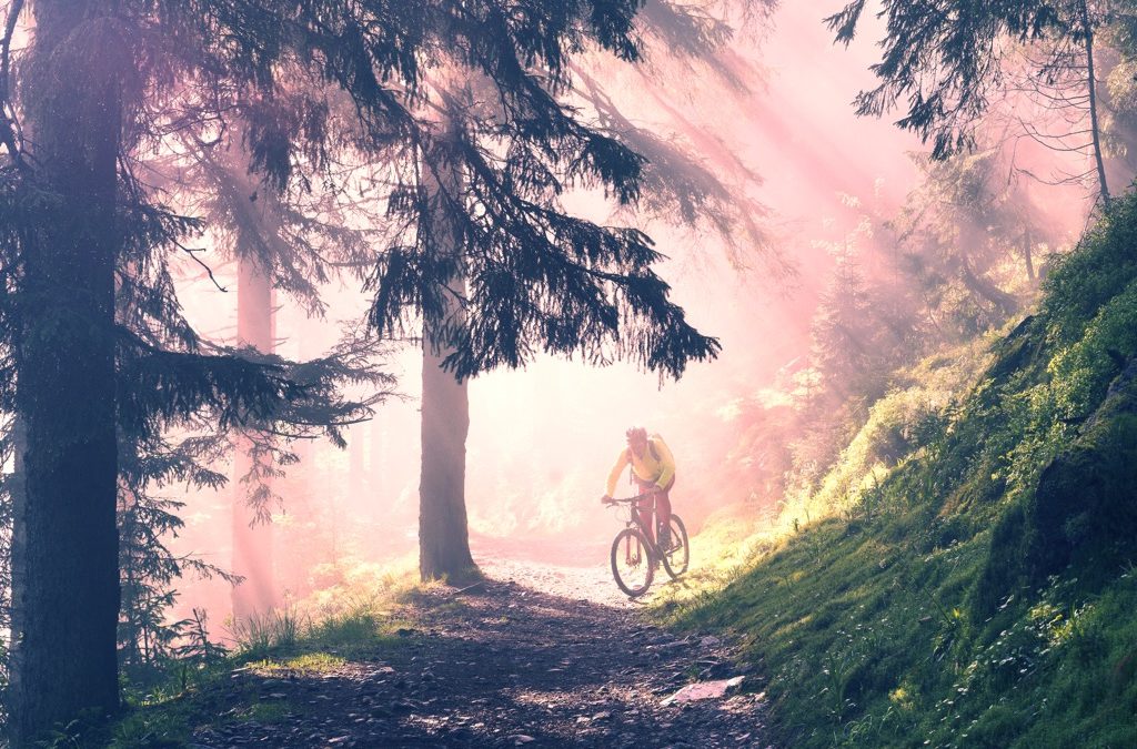 Vivi le Melette con i colori dell’autunno: servizio di noleggio e-bike attivo