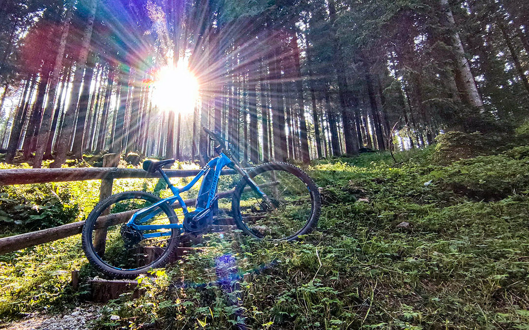 Adotta una malga: escursioni guidate in ebike