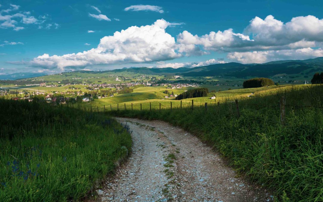 Per vivere la natura e scoprire l’Altopiano di Asiago, scegli un’ebike