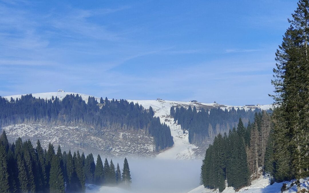 Finalmente si scia sulla pista Ongara