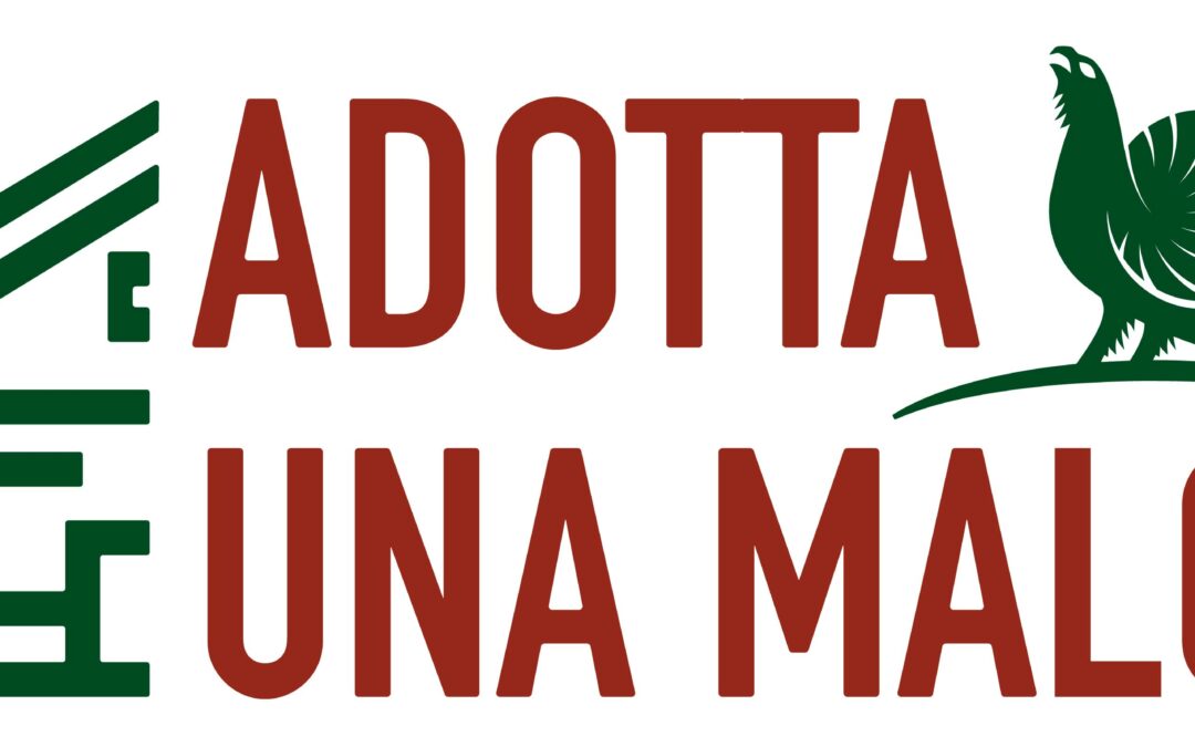 Parte il progetto ADOTTA UNA MALGA