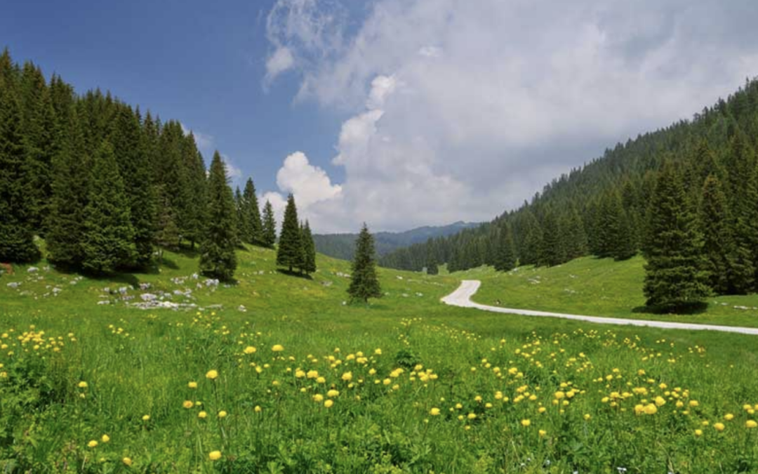 leMelette Outdoor Experience: ti organizziamo le giornate sull’Altopiano di Asiago