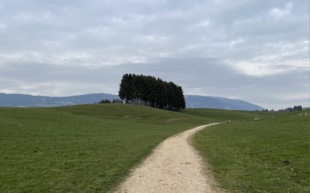 Consigli per Viaggiare in Ebike: La Tua Guida per Avventure Senza Pensieri sull’Altopiano!